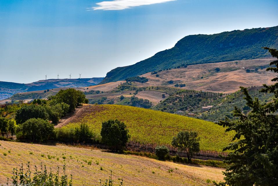 Gorghi Tondi's San Nicola vineyards rest inside an 828-acre nature preserve operated by the World Wildlife Fund.