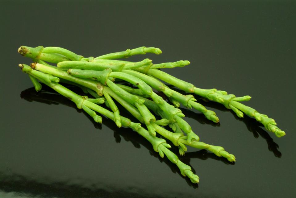Salicornia is a Genus Of Succulent. Halophyte Flowering Plants. Common Names Glasswort. Pickleweed. Marsh Samphire. Sea Beans. Samphire Greens Or Sea Asparagus. Food
