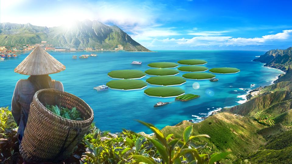 Rice fields on the ocean