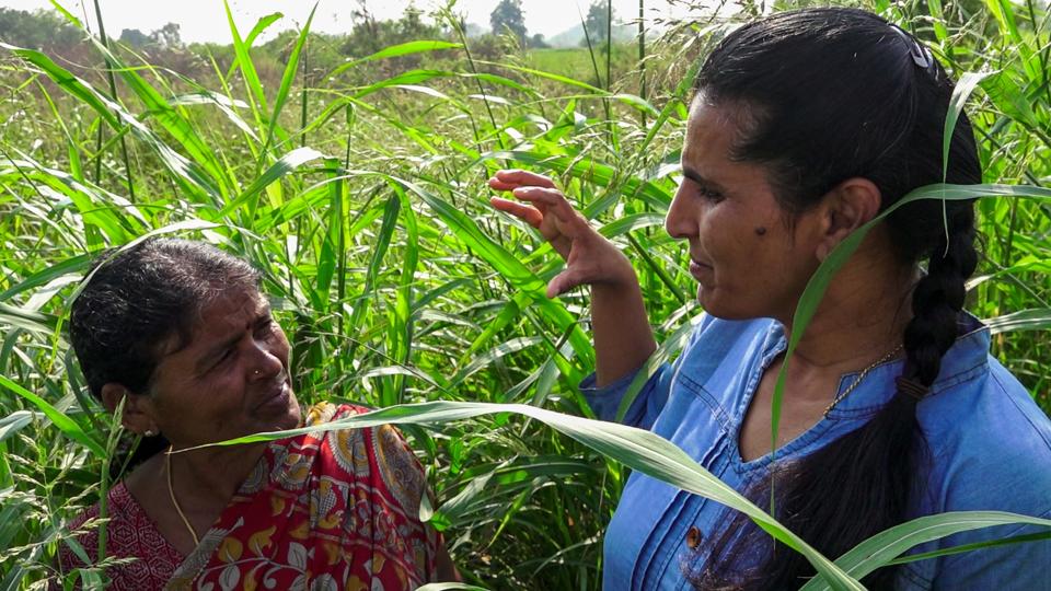 Thanammal Ravichandran (right) explaining the importance of the grass seed business.