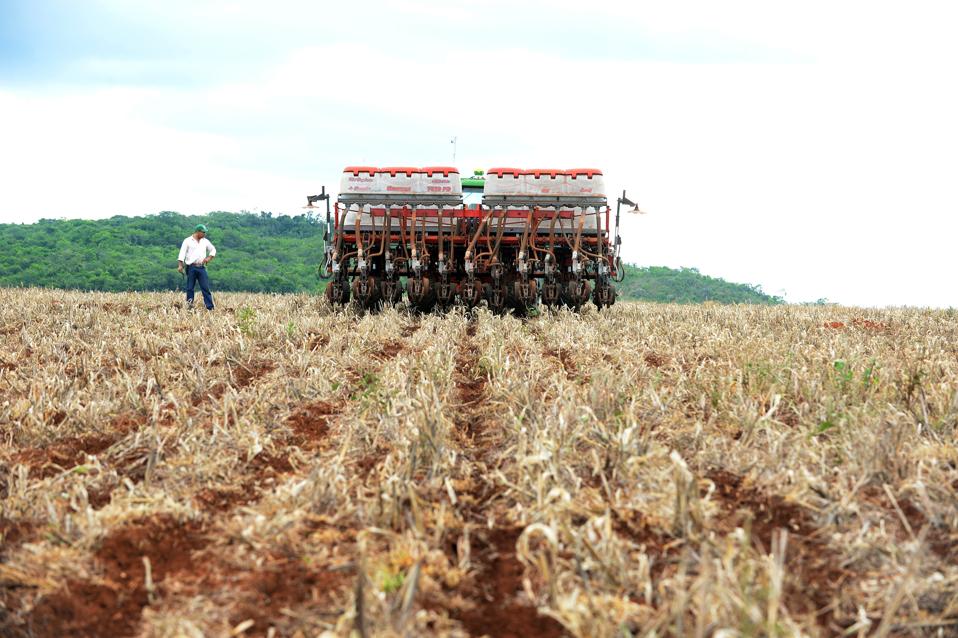 BRAZIL-AGRICULTURE-ENVIRONMENT-STOCKBREEDING