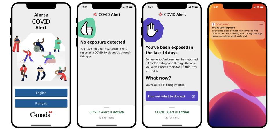 New Covid 19 Exposure Notification App Launches In Ontario While Restaurants Re Open For Indoor Dining