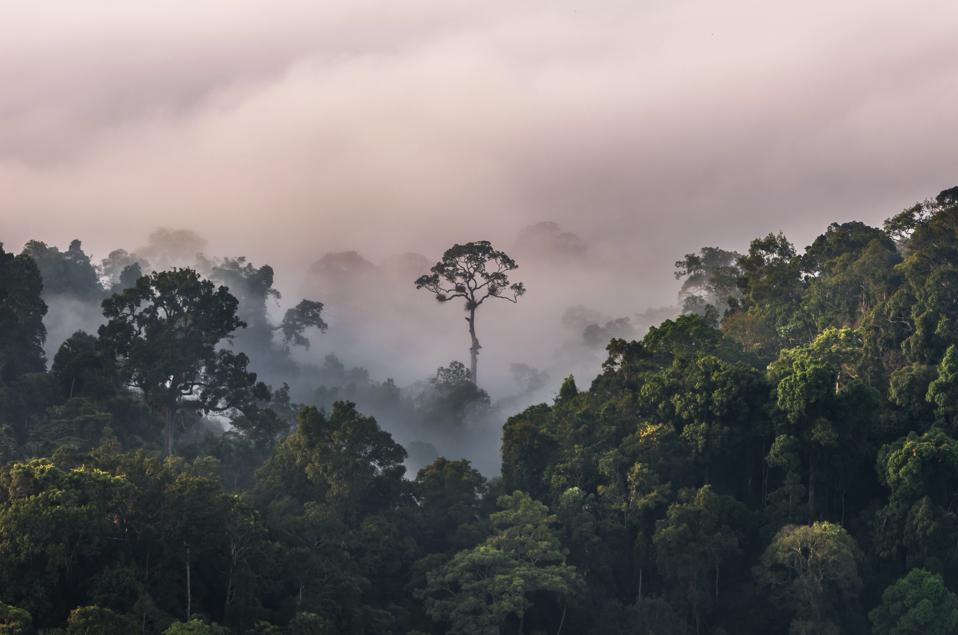 beautiful scenary of mist with mountain range at PanoenThung view point in Kaeng Krachan national park,Thailand