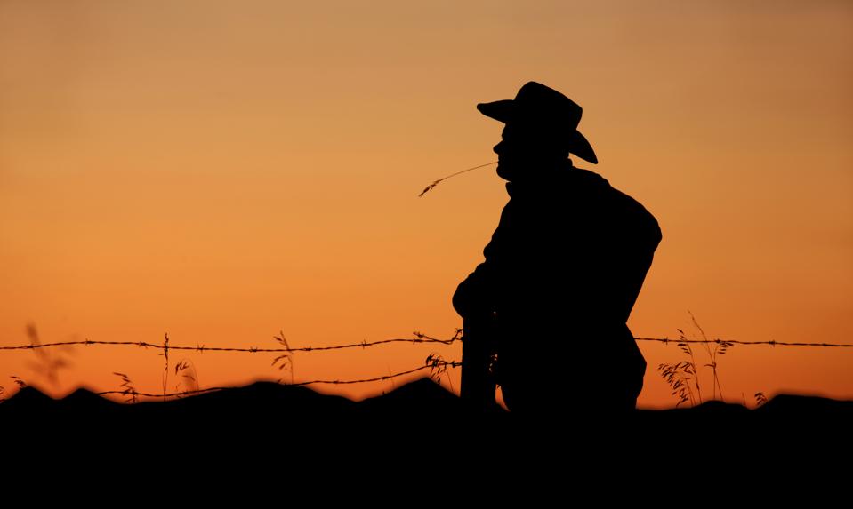 Dude ranches are in some of the most remote places in America.