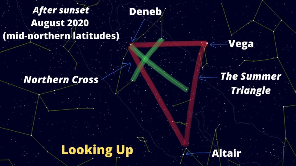 How to find The Northern Cross (green) and the Summer Triangle (red).