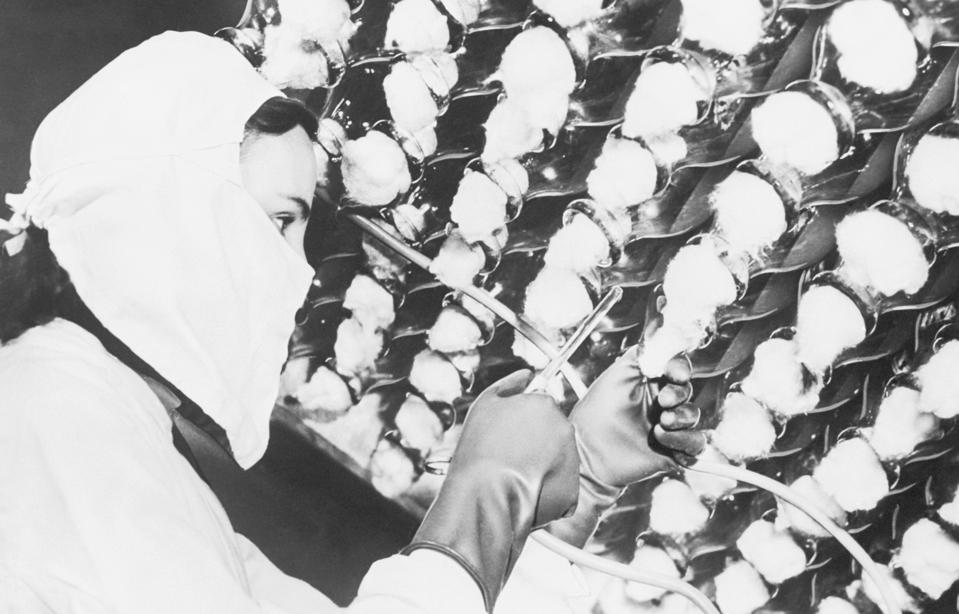 Woman Growing Penicillin