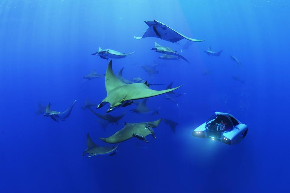 exploring manta rays in a personal submarine