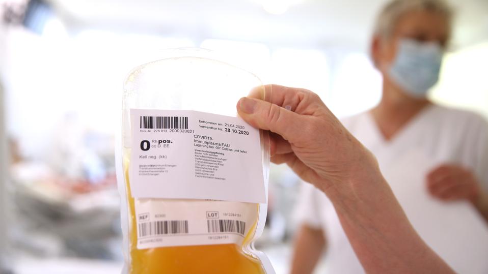 Convalescent Plasma Studies Reportedly Delayed In Favor Of Trump Touted Hydroxychloroquine