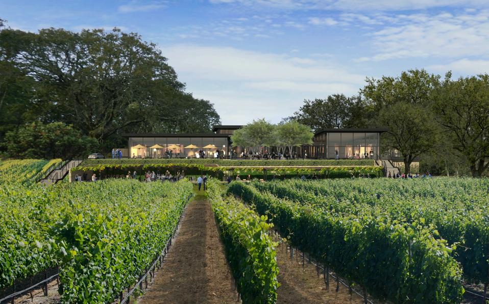 Montage Healdsburg will feature 130 bungalow-style guest rooms, as well as private luxury residences on 258 acres including 13 acres of planted vineyards. Currently under construction, it is scheduled to open in November.