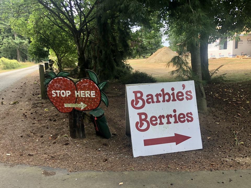 A Salute To Summer’s Sweetest Tradition: Berry Picking