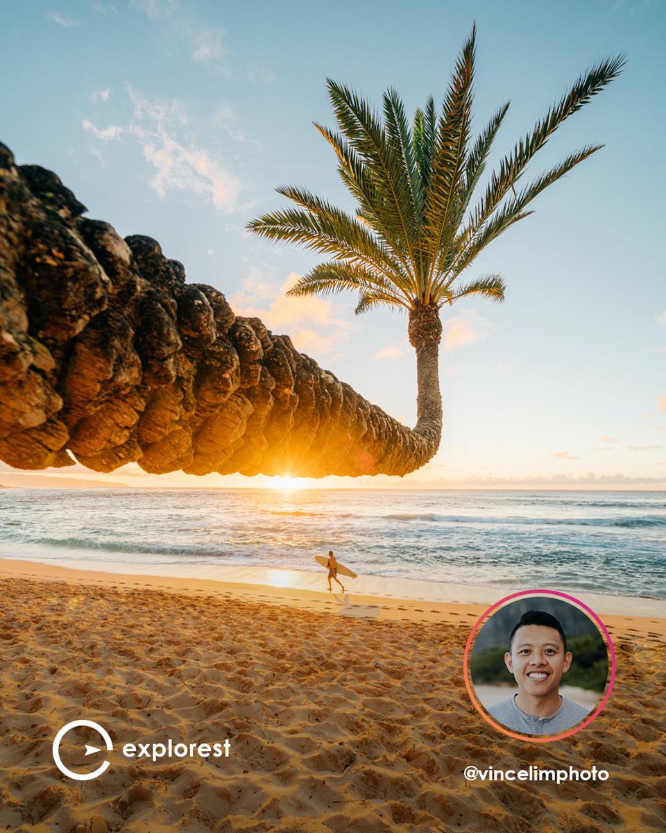 Explorest travel app photography tropical ocean surfer palm tree
