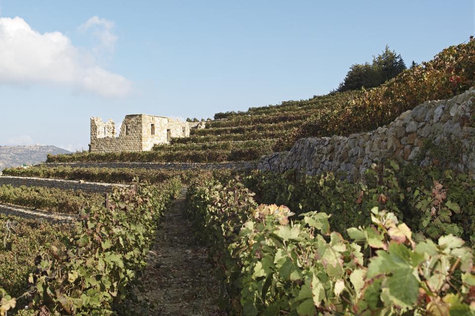 Jezzine vineyards, Lebanon