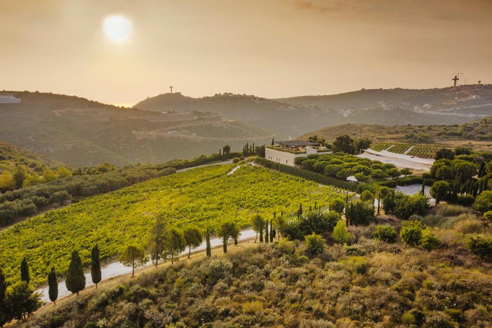 IXSIR winery in Basbina