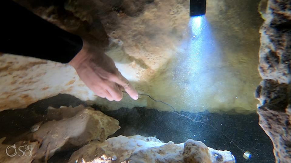 Récupérer l'alliance perdue