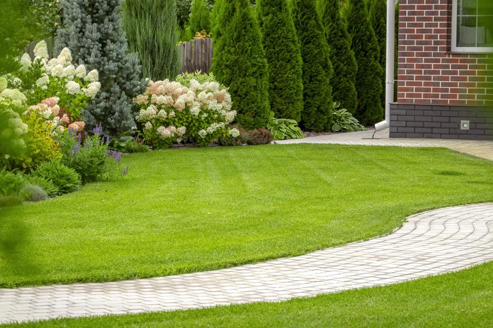 Before An Appraisal, Tackle These Home Projects 6 Freshly cut grass