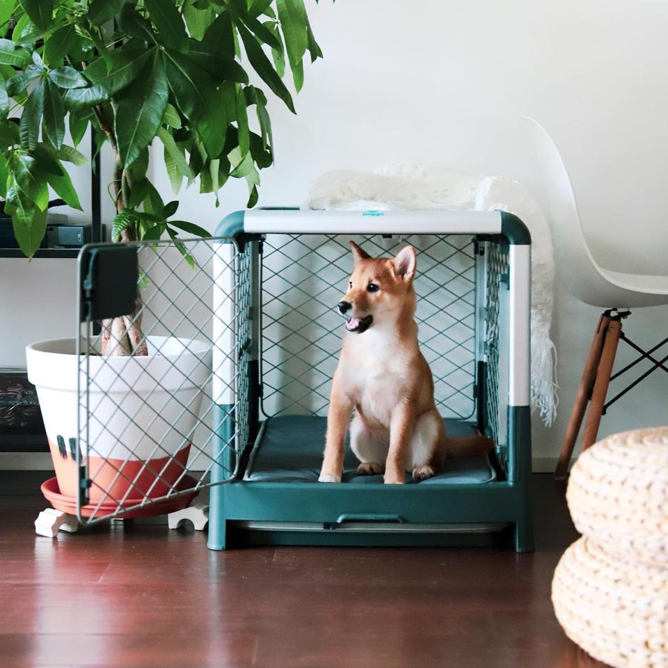 12 Of The Best Dog Crates For Every Pup According To Pet Owners