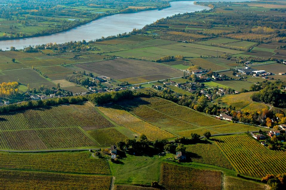 Fronsac vineyards, Bordeaux