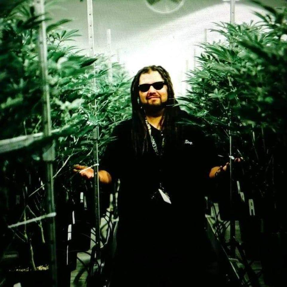 johnny out in an indoor grow