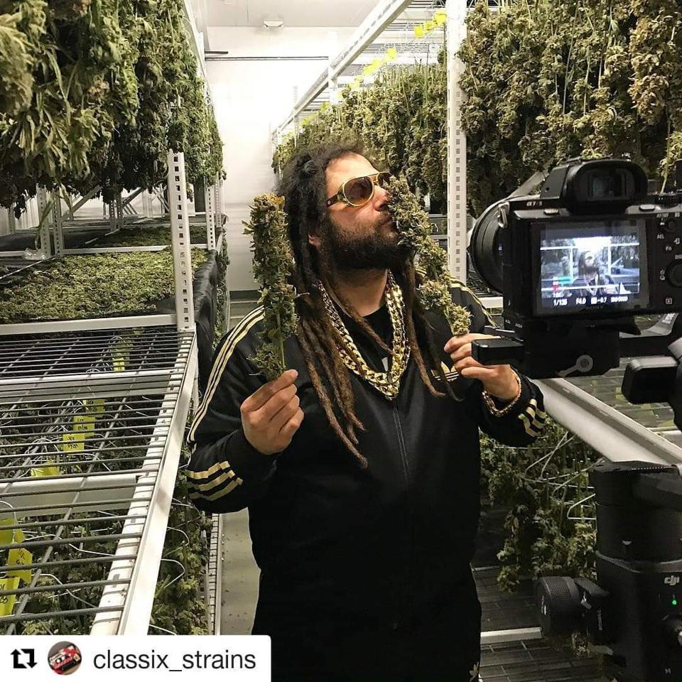 Johnny out in a grow