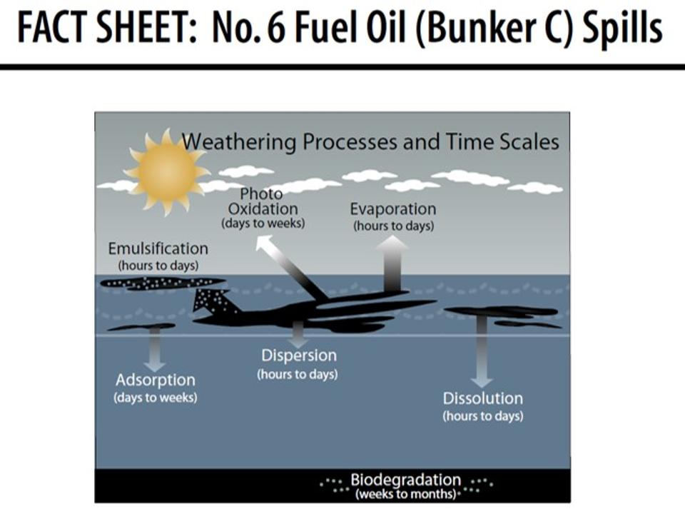 NOAA fact sheet