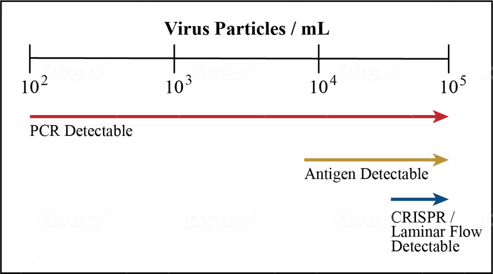 FIGURE 2. Comparing the limit of detection for different Covid-19 test types.