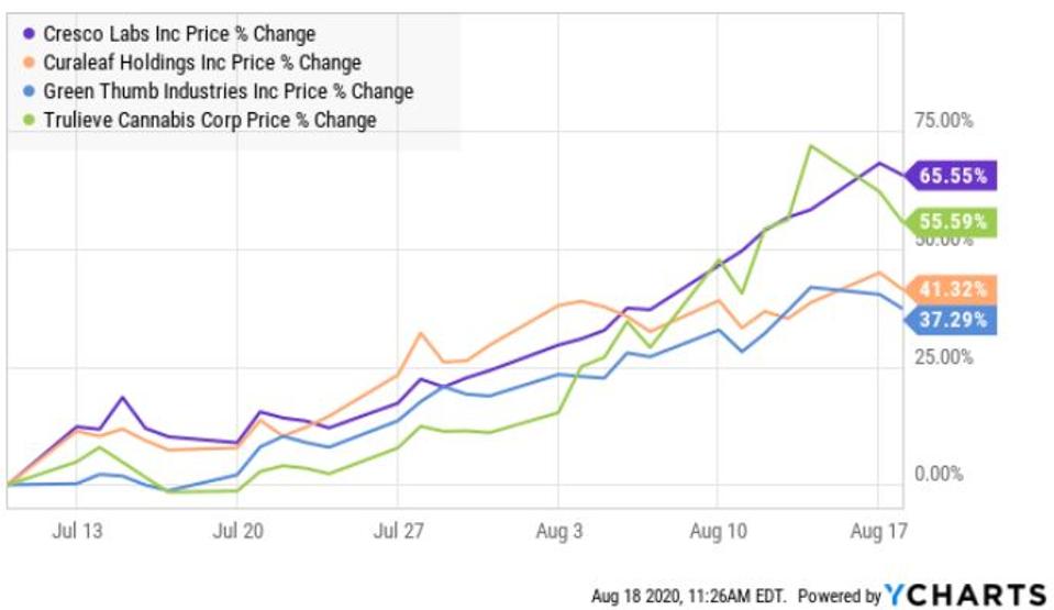 This is how Cresco Labs, Curaleaf, Green Thumb Industries and Trulieve have performed since July 10th