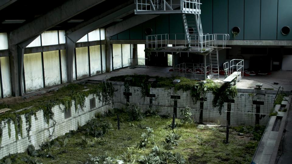 Pool covered in foliage.