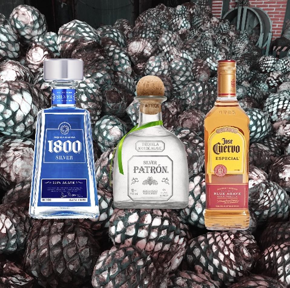 The World S Most Popular Tequilas The World S Most Popular Tequilas