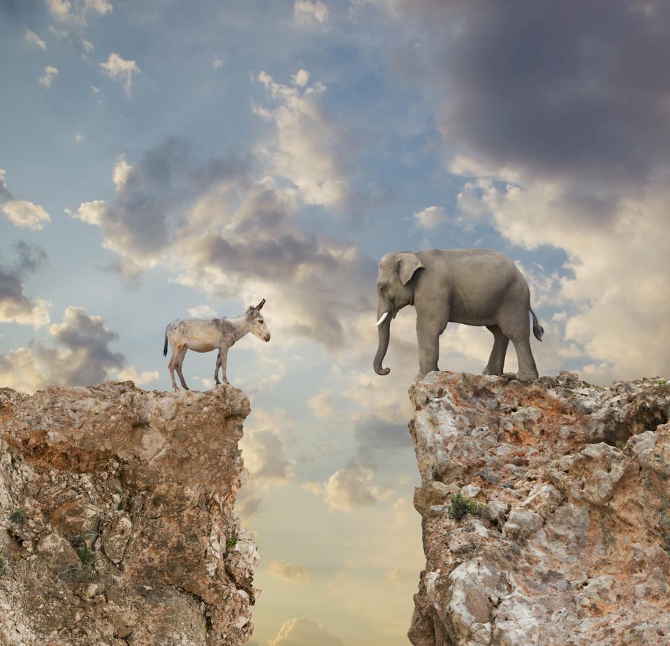 Donkey and elephant separated by gap in cliff