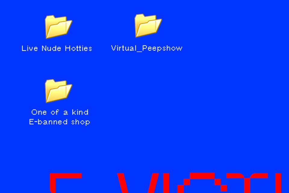 A start-up windows screen with folders titled ″Live Nude Hotties,″ ″Virtual Peepshow,″ ″One of a Kind E-Banned Shop.″