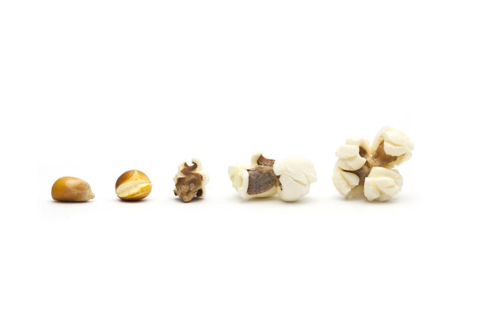 5 popcorn pieces in various stages, from corn to fully popped. Great. Now I'm hungry.