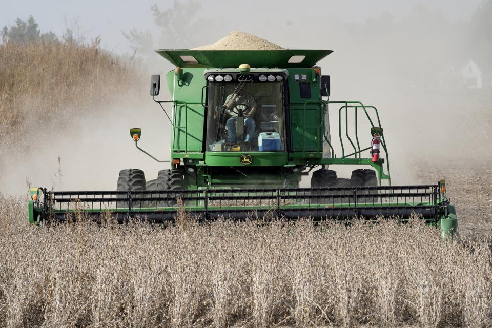 Soybean Harvest