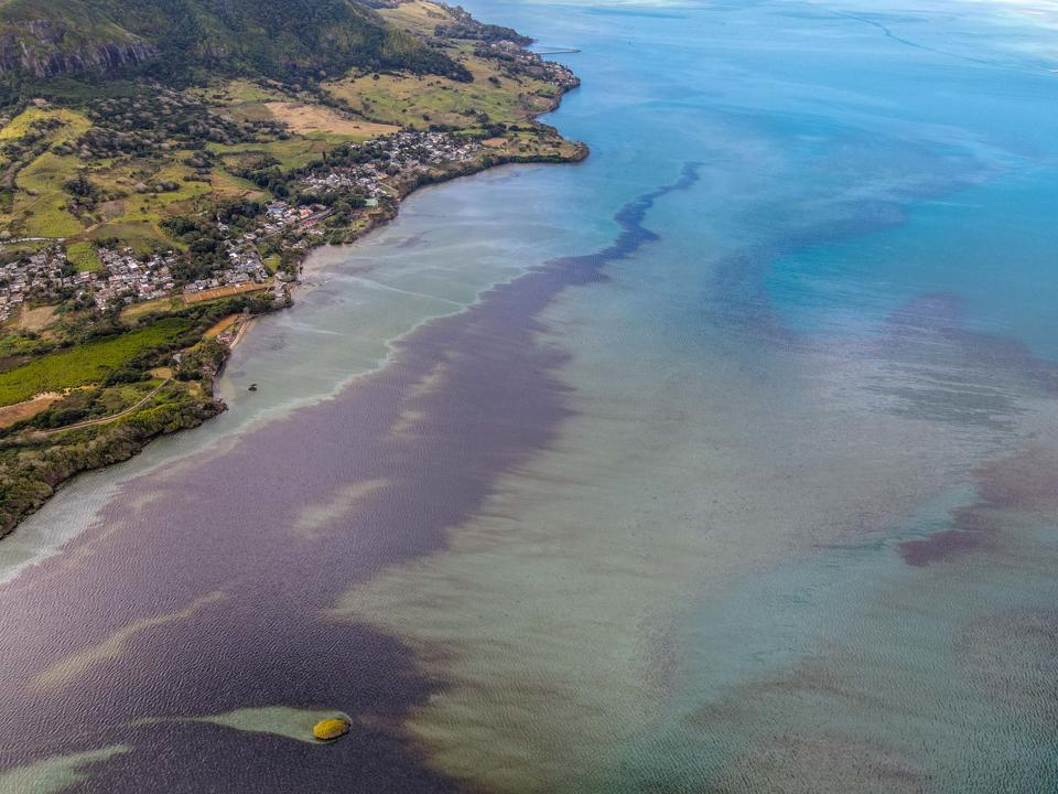 8 Aug: the massive heavy fuel oil spill from the Wakashio drenched the beach, coral, seagrass, mangrove coastline of Mauritius