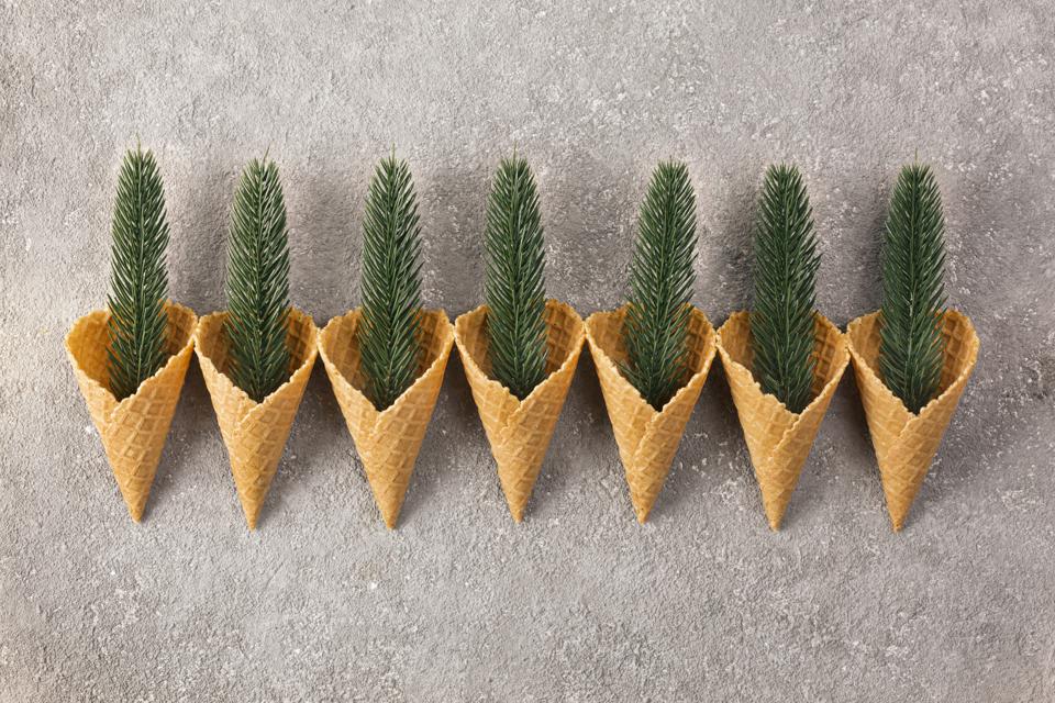 Kalėdų eglutė šakojasi į ledų kūgelius