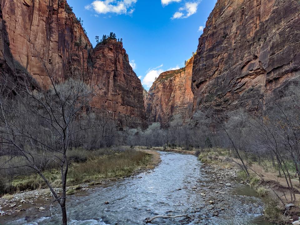 Zion National Park S Calming Riverside Walk
