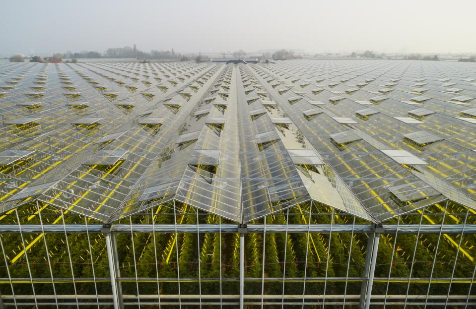 High Tech Greenhouses Could Be The Future Of Agriculture High Tech Greenhouses Could Be The Future Of Agriculture