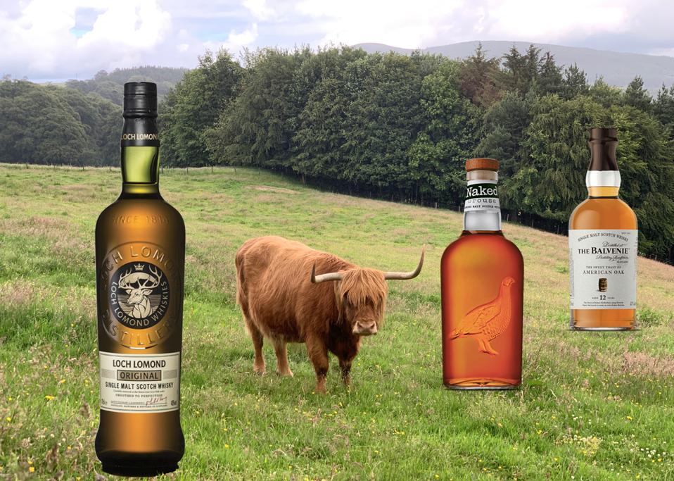 A longhaired cow grazes in an idyllic field beside bottles of Loch Lomond, Famous Grouse