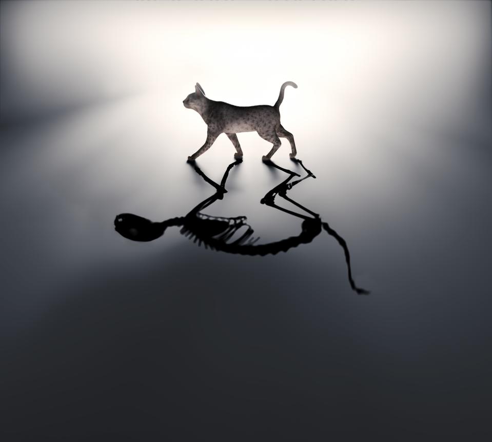 Schrodingers cat, illustration