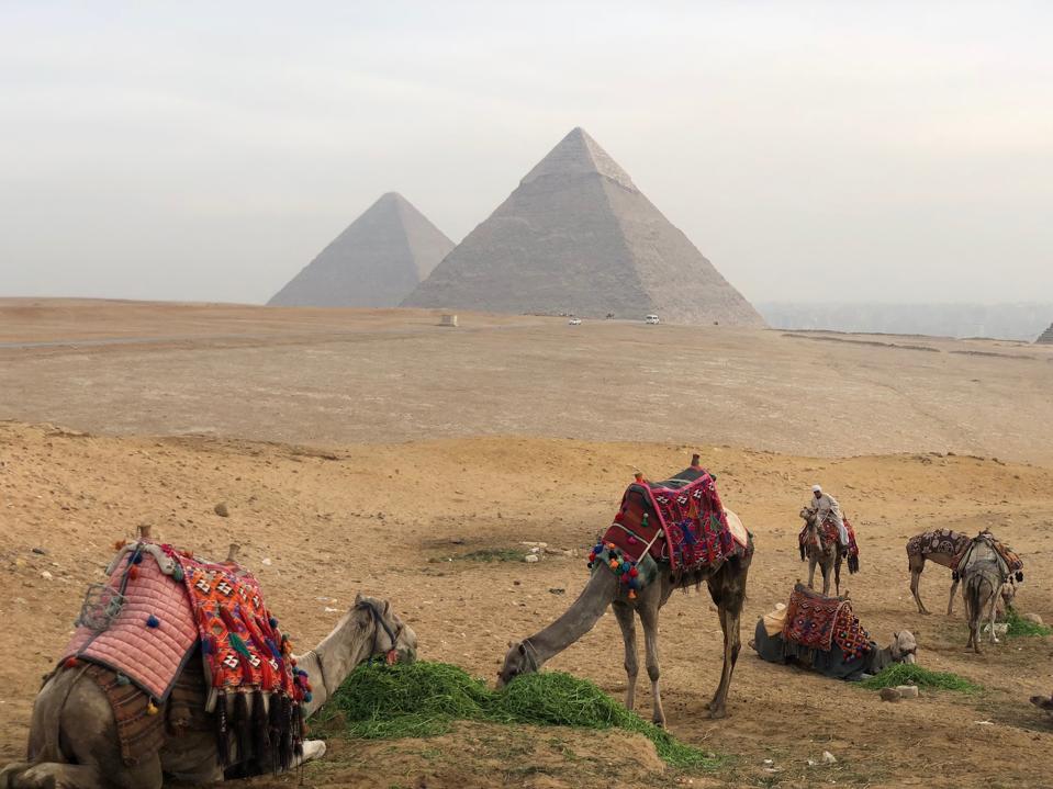 homeschooling distance learning, online, education, internetEgypt Giza Pyramid camels resting