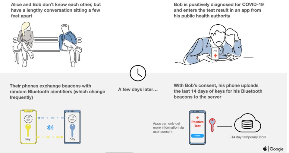How Exposure Notifications work.