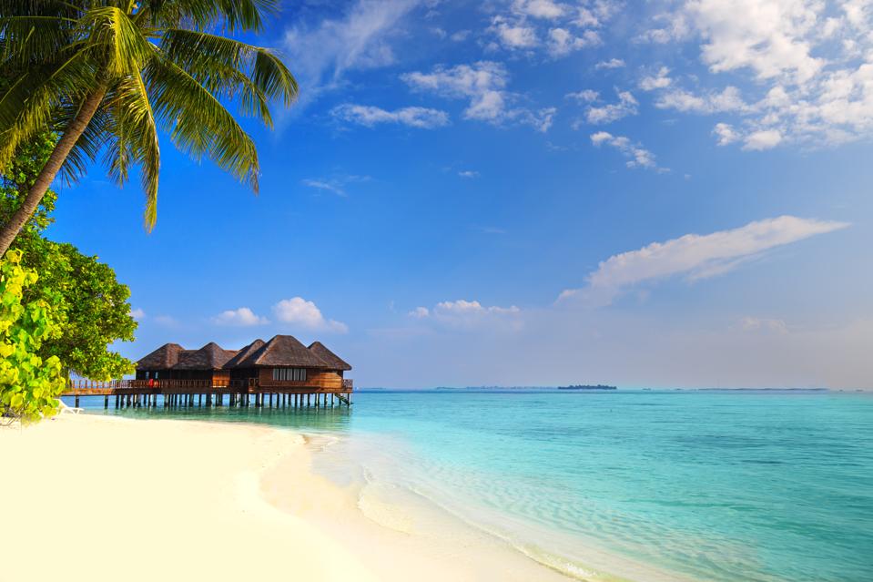 Tropical island with sandy beach, palm trees and overwater bungalow