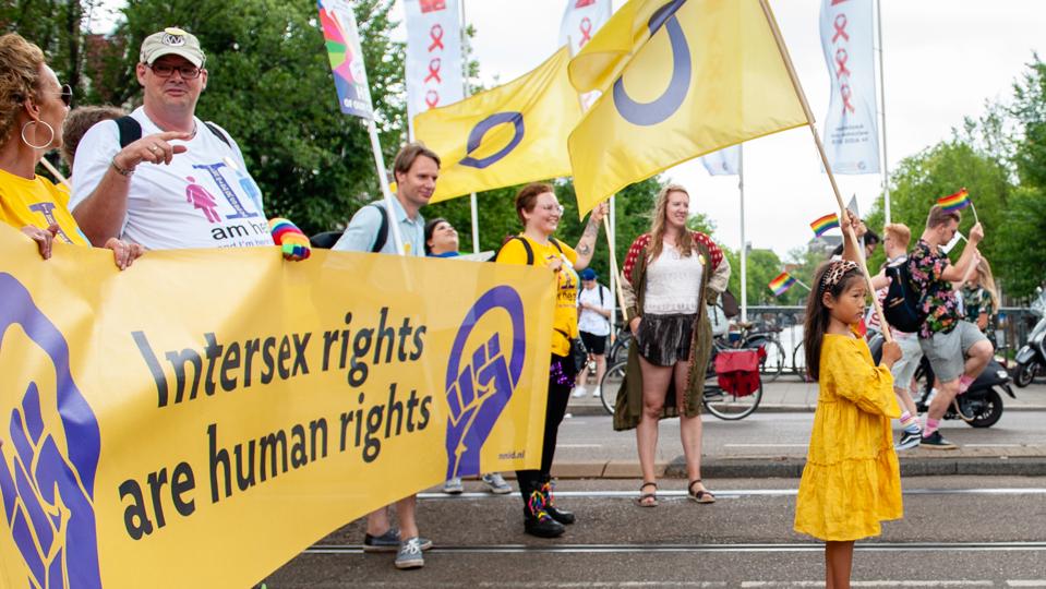 Pride Walk In Amsterdam