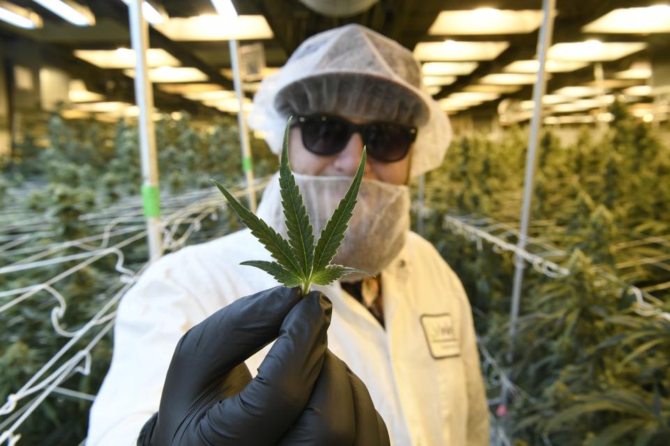 LivWell Enlightened Health Cultivation Facility