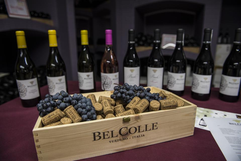 Grape Harvest For Barolo Wine In Verduno