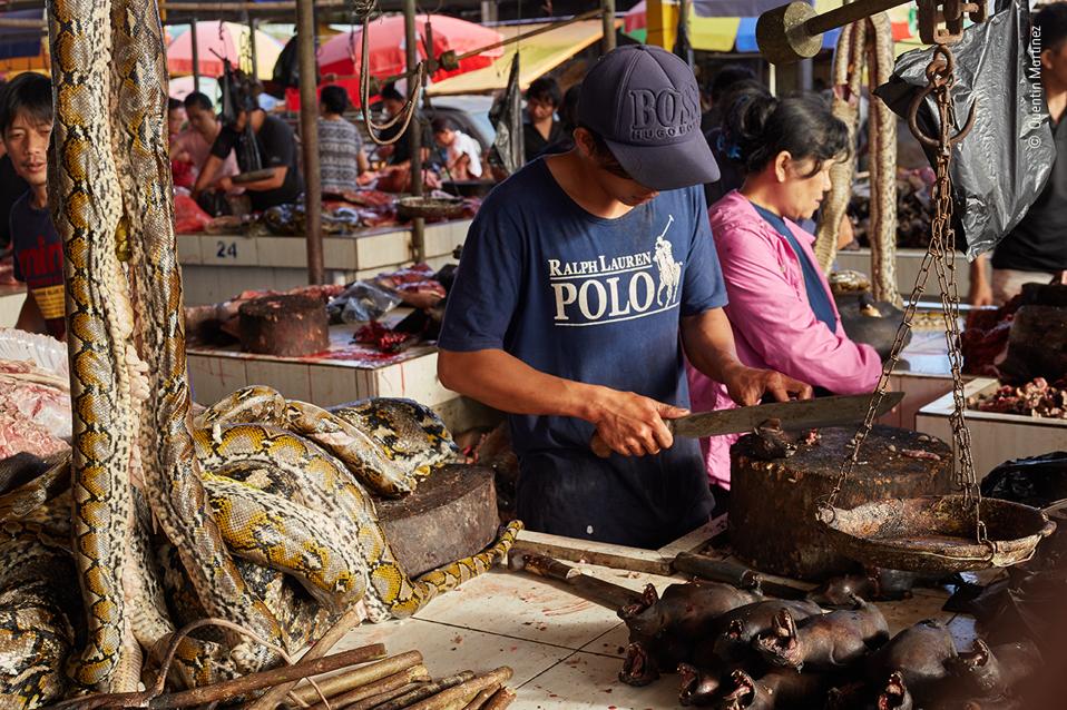 A market trader slices up fruit bats