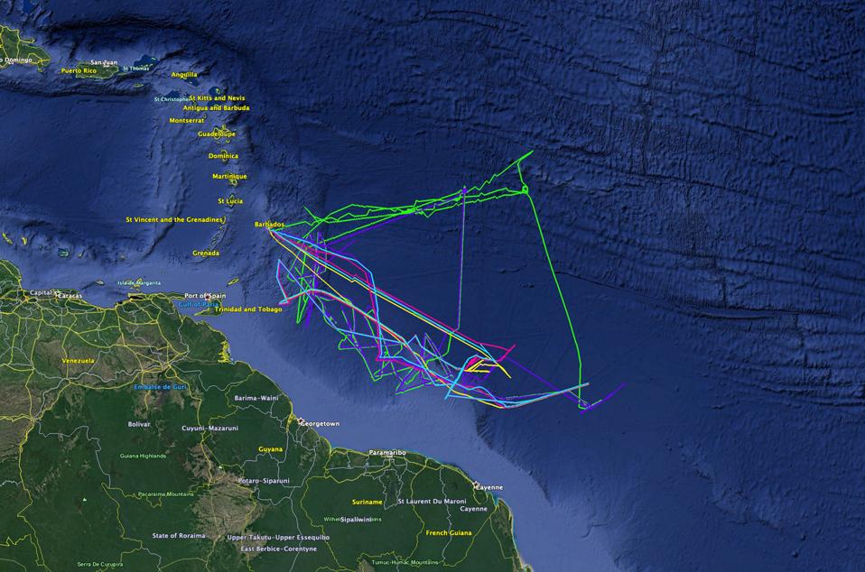 Autonomous scientific vessels from Saildrone have also been used along coastal regions to track coral and fish spawning behavior, as seen here around the Caribbean.