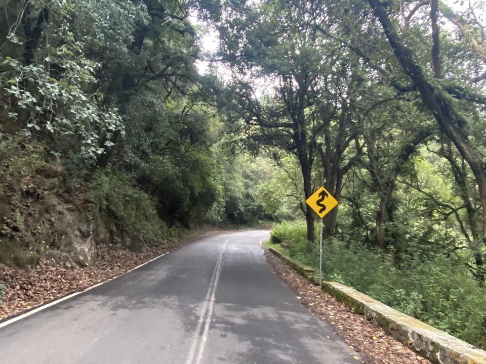 The road in Dinamos park in Mexico City.