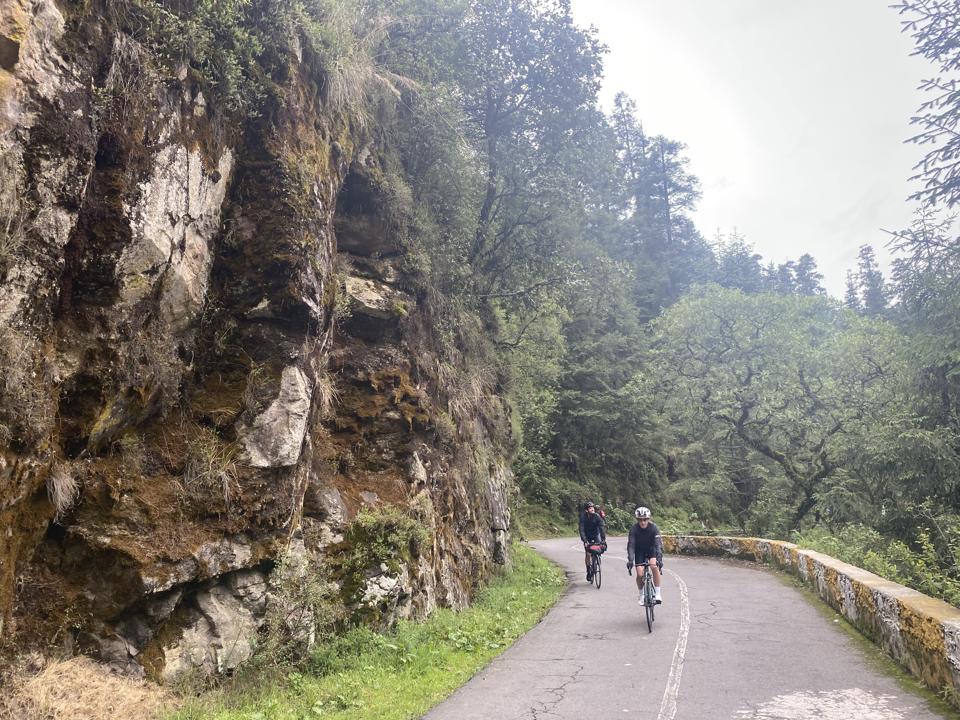Cyclists in Mexico City.