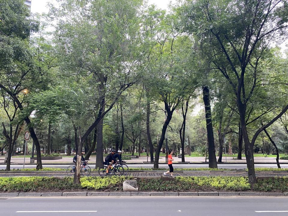 Cyclists in Mexico City.