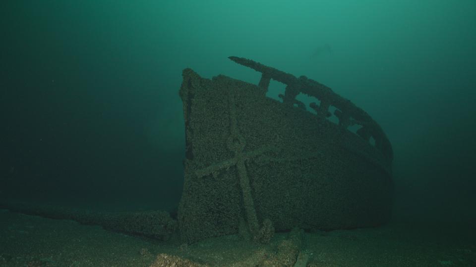 The dark silhouette of a wooden shipwreck looms through green waters.